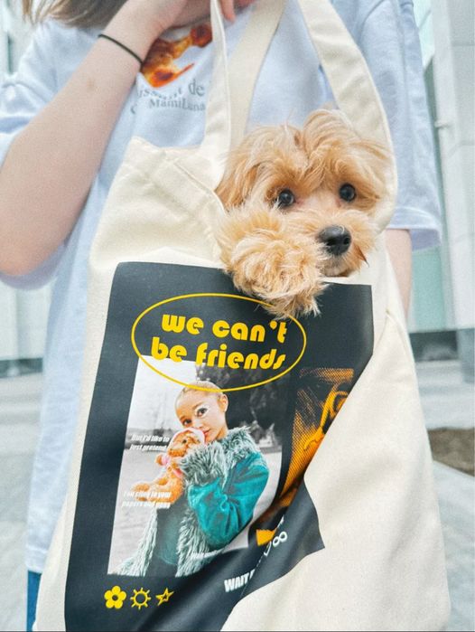 Шоппер «We can’t be friends», Ариана Гранде