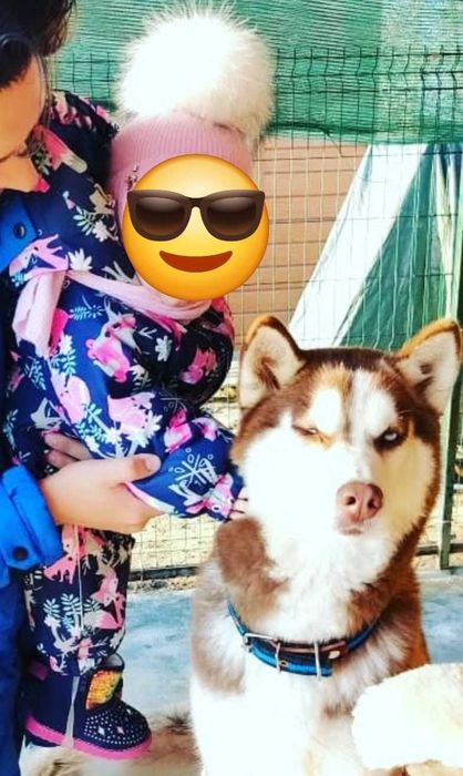 Продам зимний комбинезон