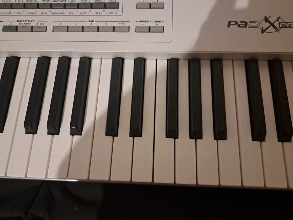 Orga korg pa2 x pro