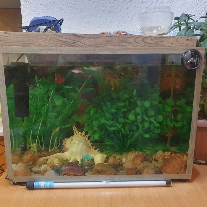 Продам аквариум с рыбками.