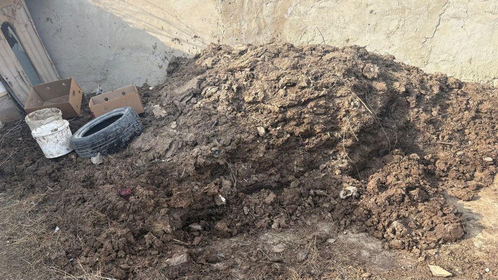 Отдам даром навоз