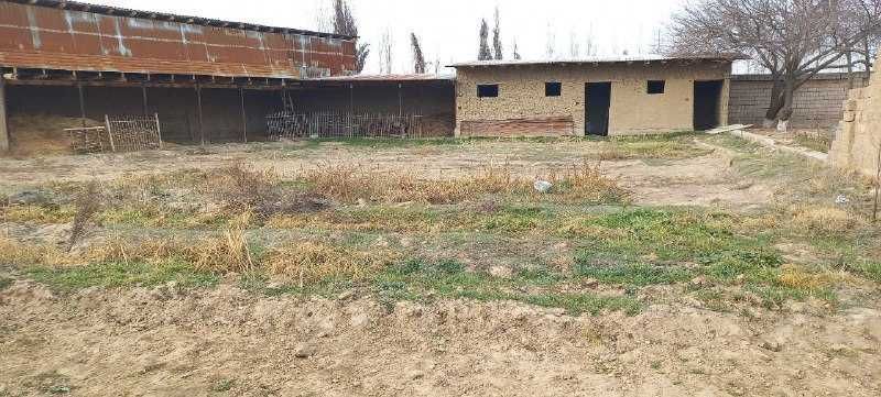 ер томорка сотилади