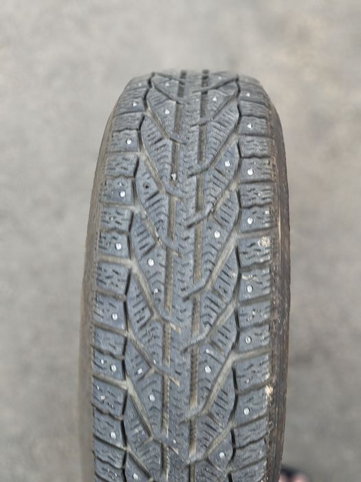 Зимние шины Tigar