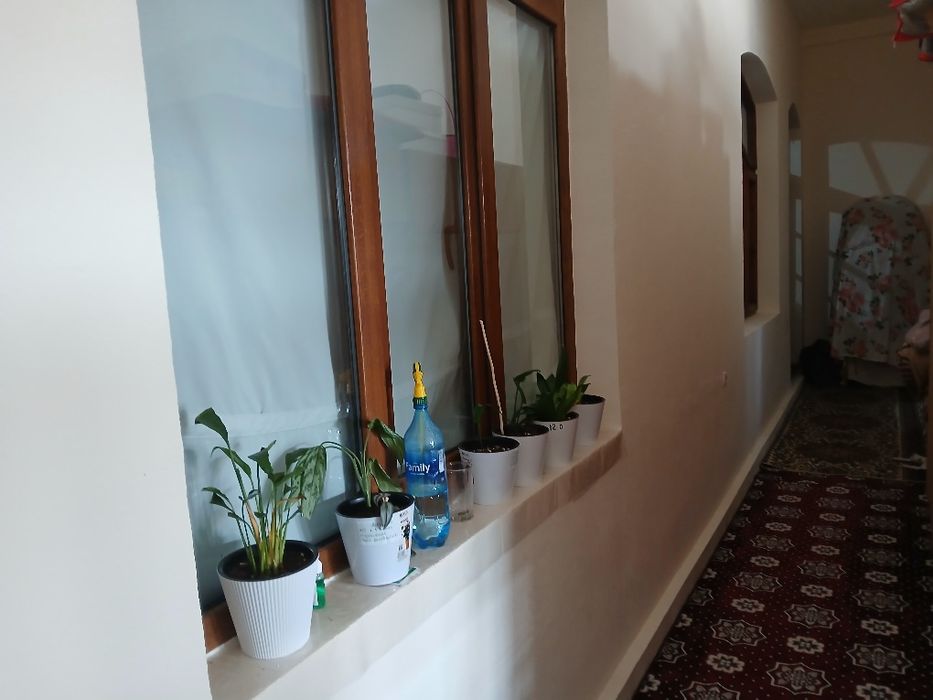 Зангата туман бодомзор махала 6 соты 8та цона падвал