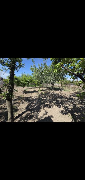 Casă cu 4 camere de vânzare in Ioșia