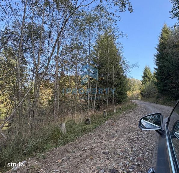 Teren |  1 ha |  Pastravarie |  Pensiune | Complex Agrement
