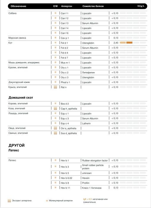 Отдам в добрые руки кошечку