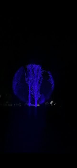 Фонарь оригинал от бренда COBA