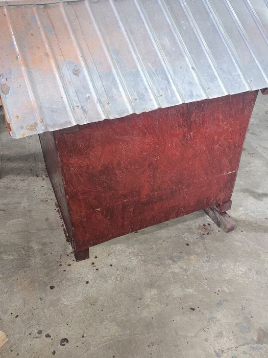 Cusca cățel de culoare vișinie