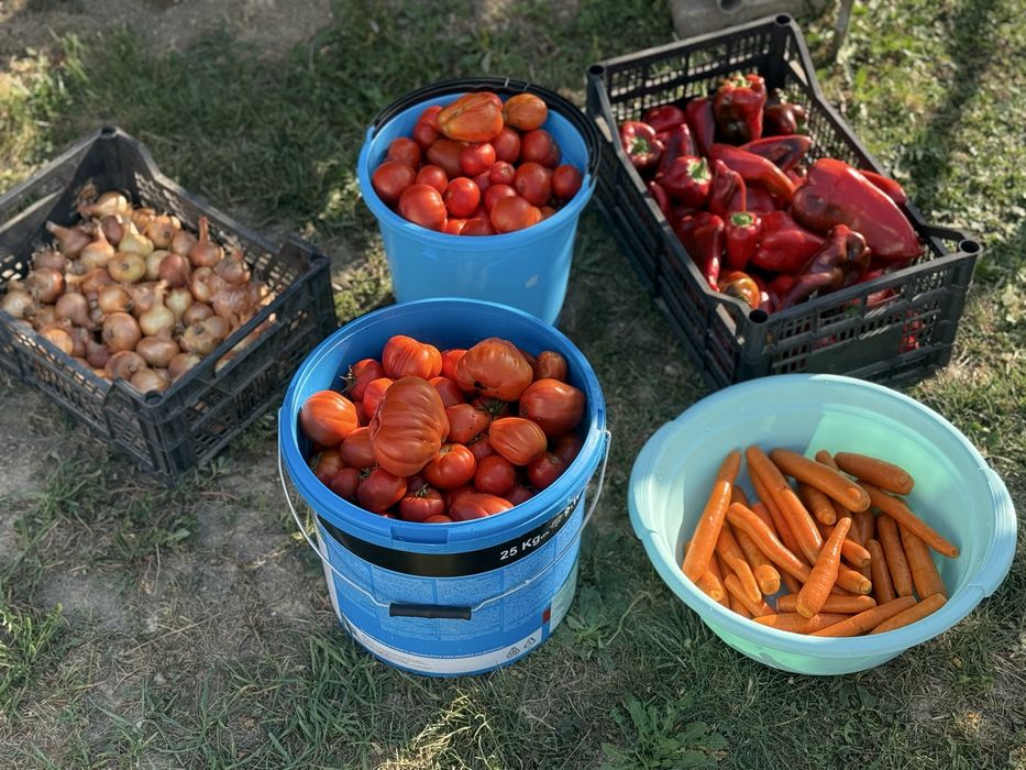 Tocana de legume proaspata si naturala