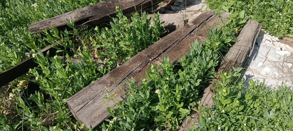 Тегiн отын Дрова бесплатно