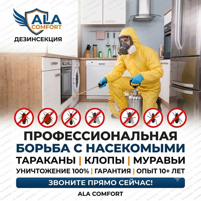 Дезинфекция Семей