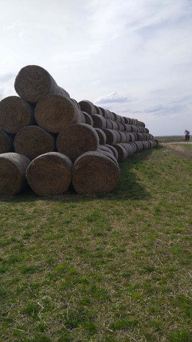 Vând baloți de paie 120x120