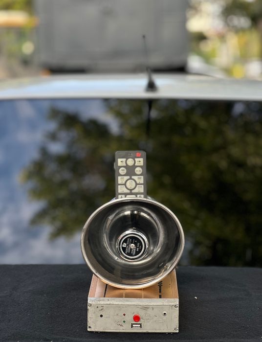 ARENDAGA Amerikanka Serena