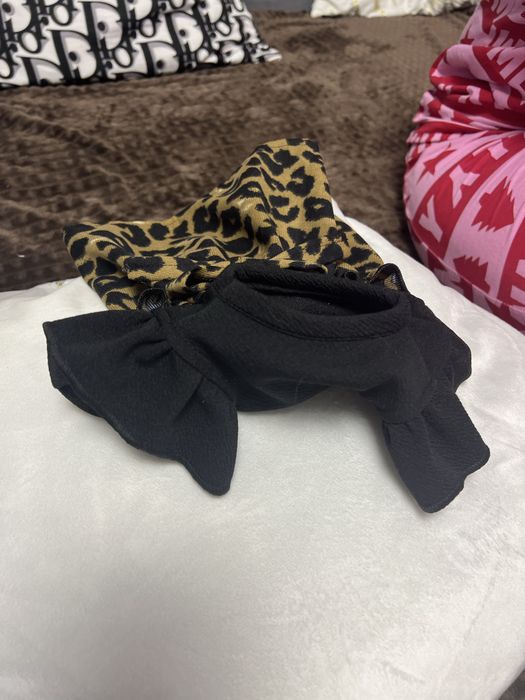 Rochita pentru pisici si caini