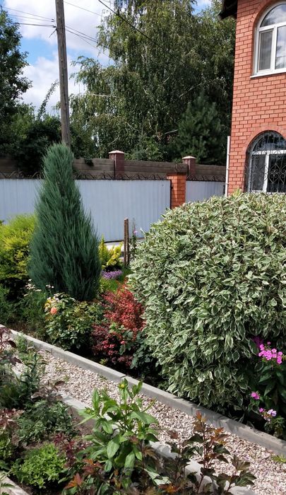 Сдам посуточно коттедж