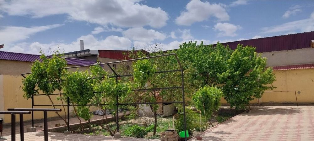 Kotej sotiladi 4 xonali