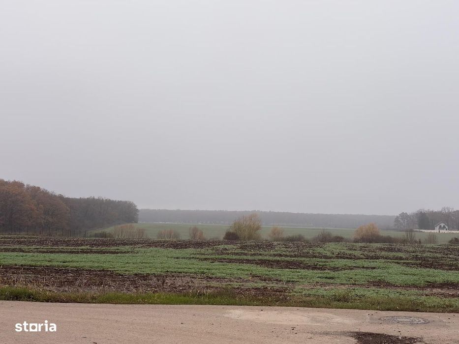 Vilă Individuală Nouă P+1 | 4 Camere | 141 mp utili | Teren 350 mp |