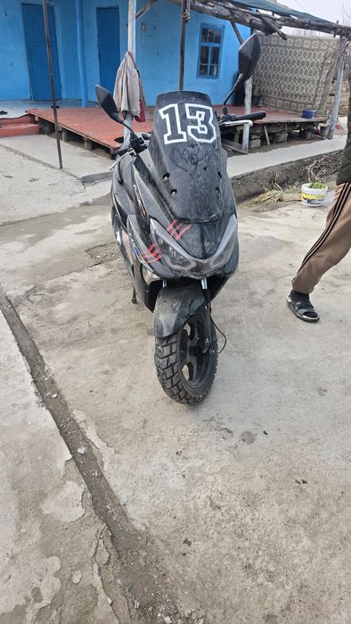 Макси 180 сс лия