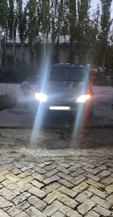 Жентра 2019 йил.