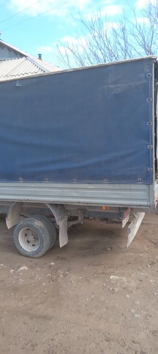 Gazel sotiladi 5500$