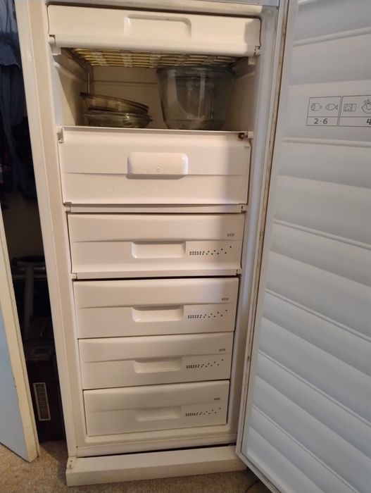 Snaige фризер използван