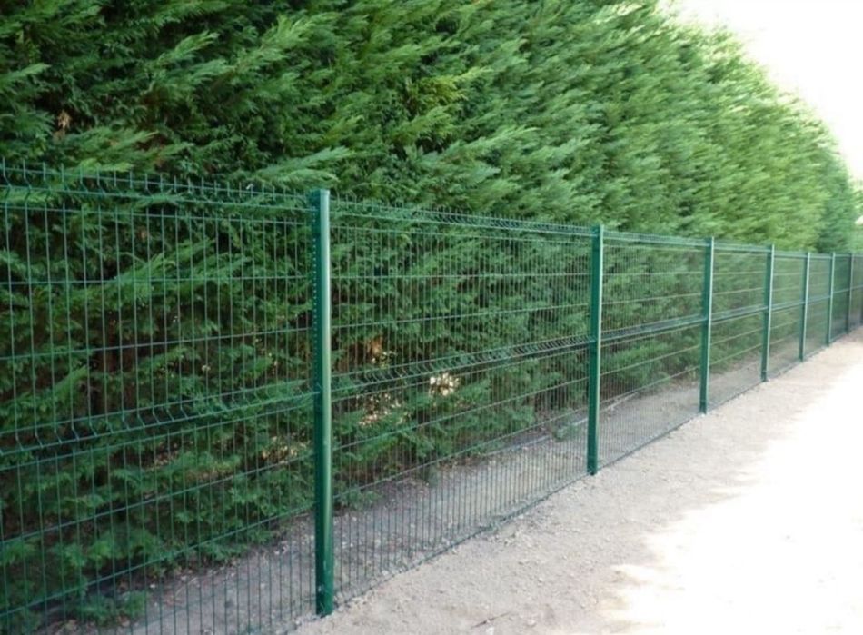 Vand garduri  din plasa bordurata