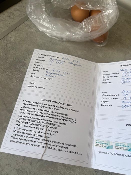 Овчарка күшік сатылады