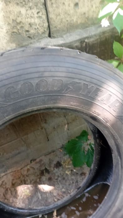 Продам шины  ……..
