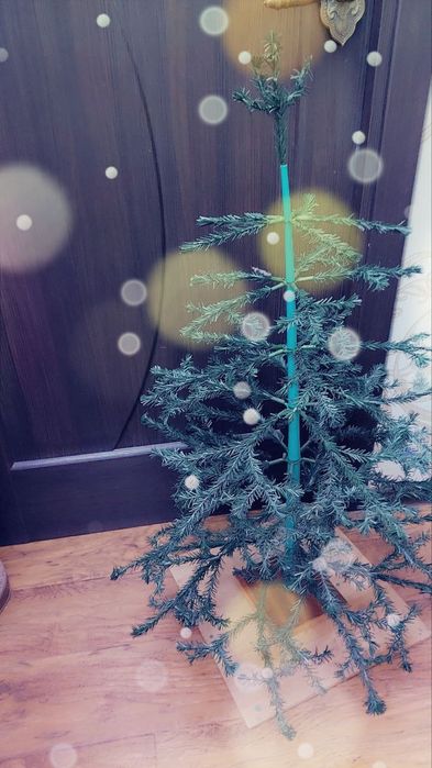 Продаётся новогодняя ёлка.