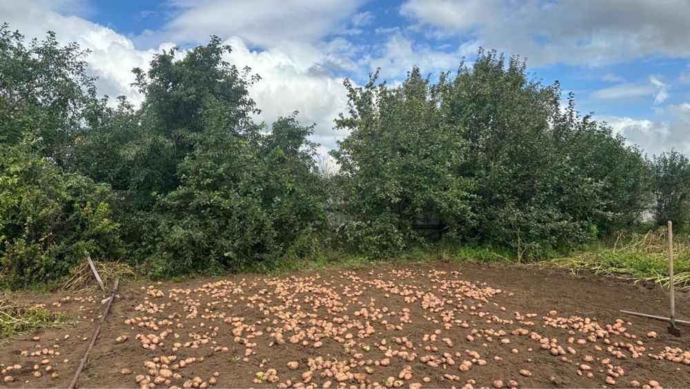 Продам дачу на Союзе