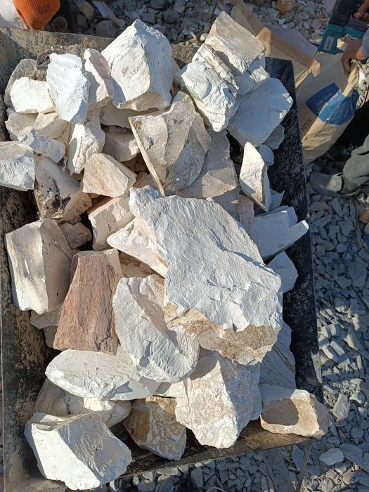 Oxak optim sotiladi.Kilosi 1200 dan.