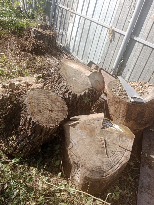 Продам дрова для бани много