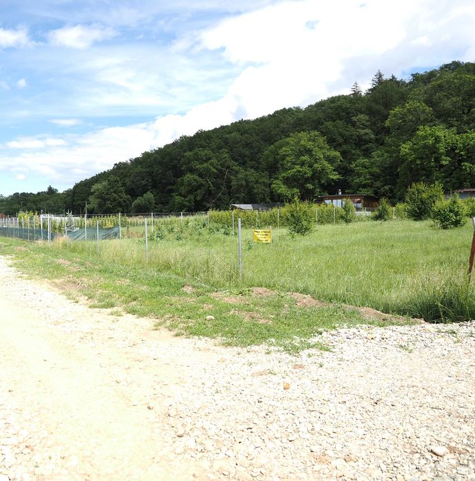 Teren intravilan la marginea padurii din Cristian, Brasov