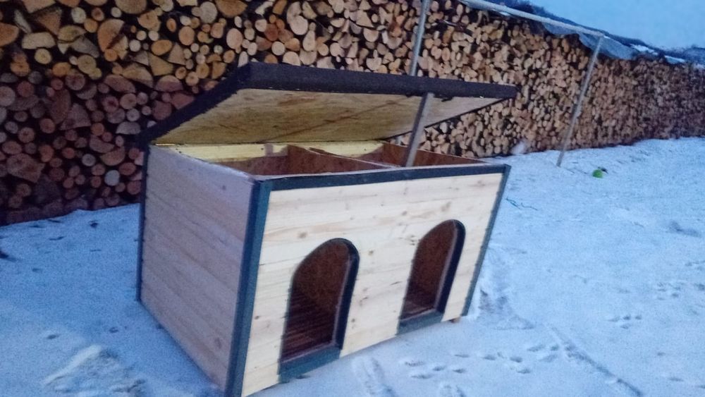 Vând cușcă câine