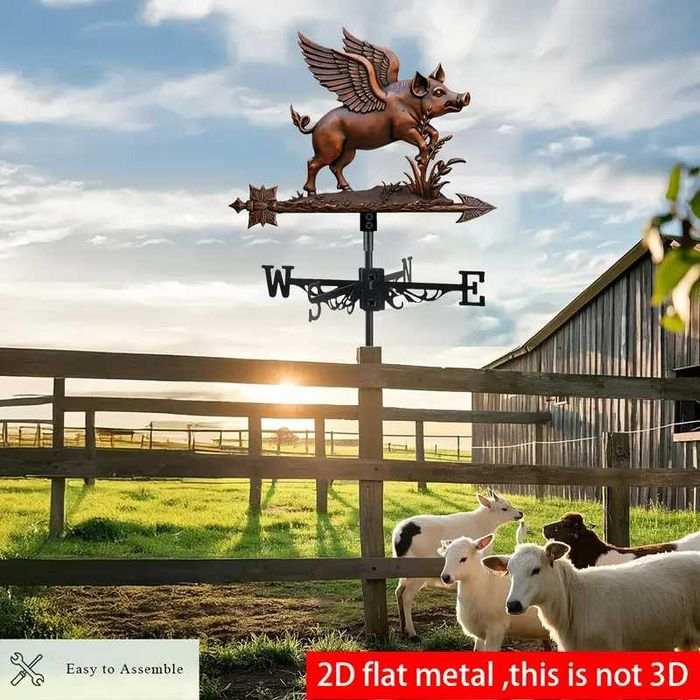 Ветропоказател , ветропоказатели - видове