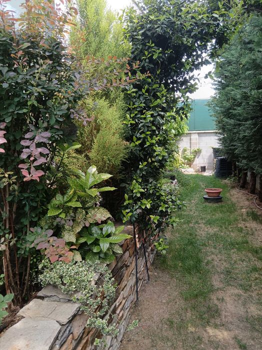 Продава се Къща в Пловдив, Беломорски - 146 кв.м за 1918 €/кв.м - Снимка #4