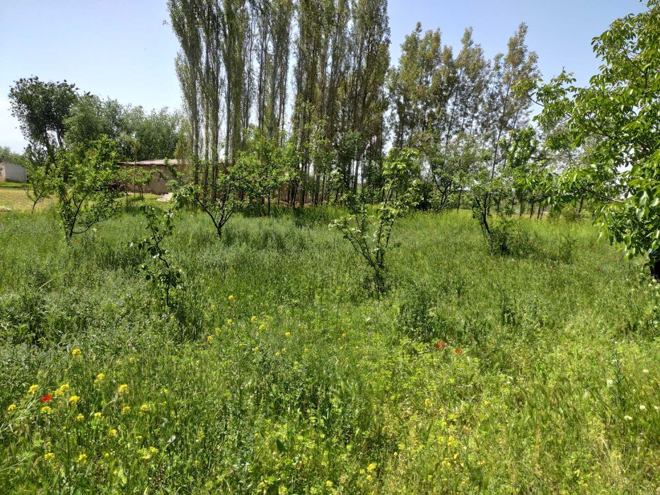 Yer sotiladi 12 sotx Mingchinor,Mingchinormfy Ziynat 3-tor koʻchasi 12