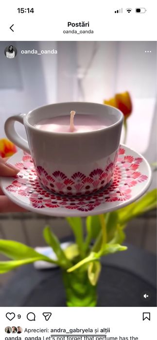 Ceşti pictate manual