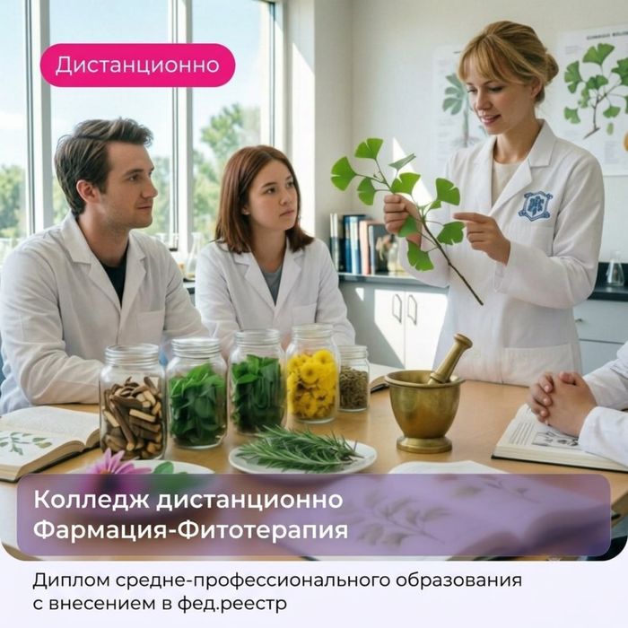 Колледж фармация дистанционно