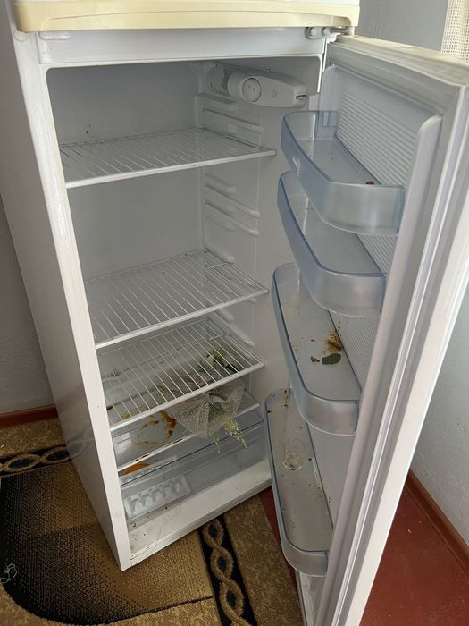 Холодилник Nord g