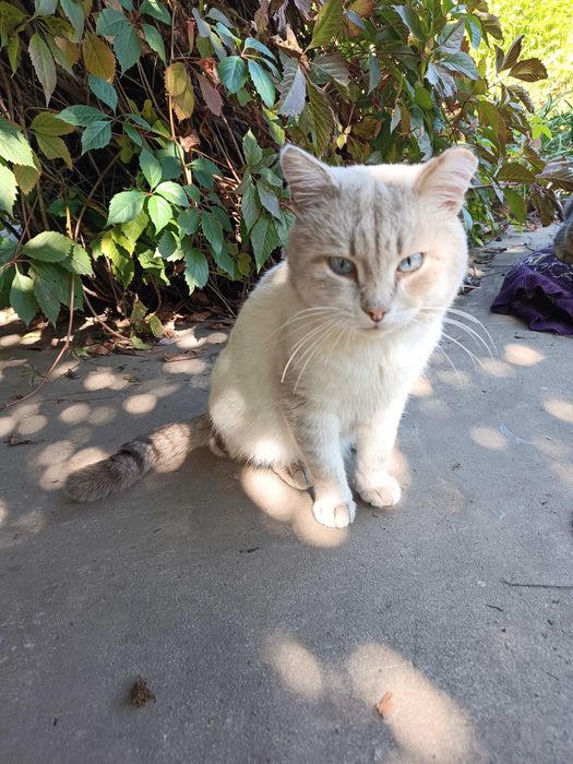 !!!СПАС ЖИЗНЬ Кто то…