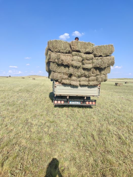 Караганда сено с доставкой