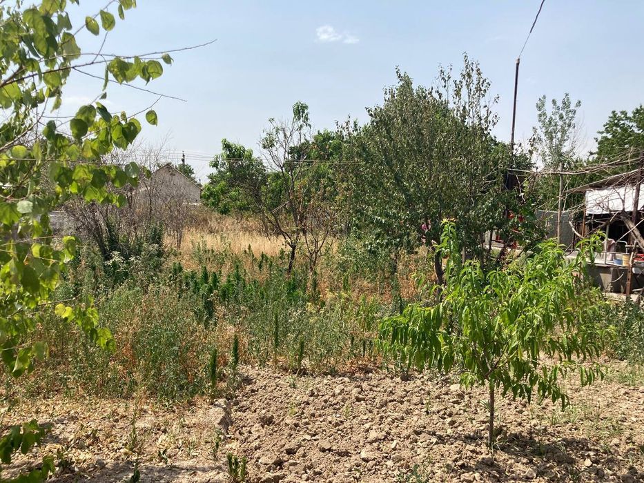 Дачный участок для бизнеса