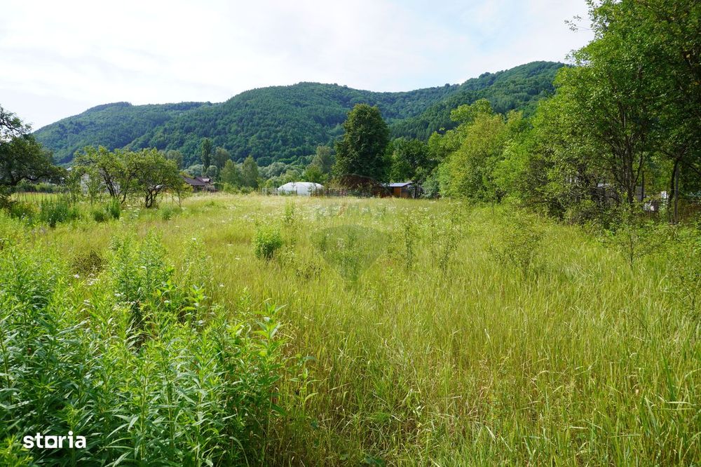 Teren 2785 mp, Central – Lângă Grădina Morii