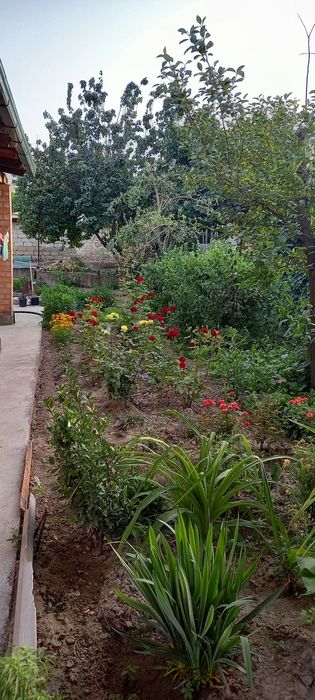 Продается дом в Алмалыке.