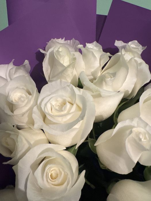 Белые розы 21штук