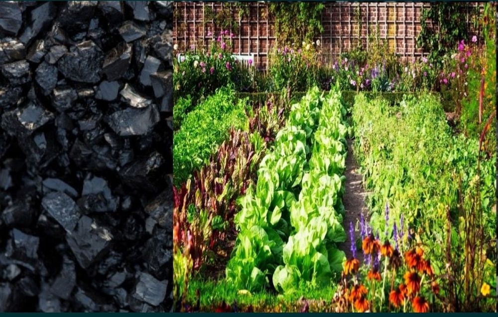 Уборка снега.Кидаю уголь,перетоскаю.