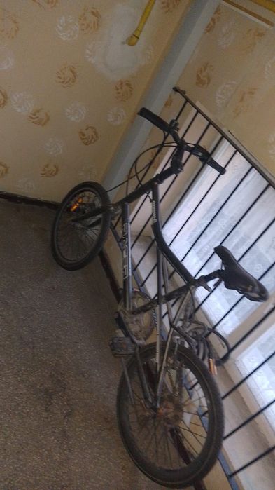 Bicicleta Racer espresso 1