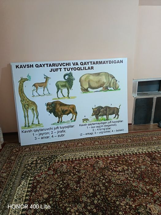 Banner biologiya xonasi uchun